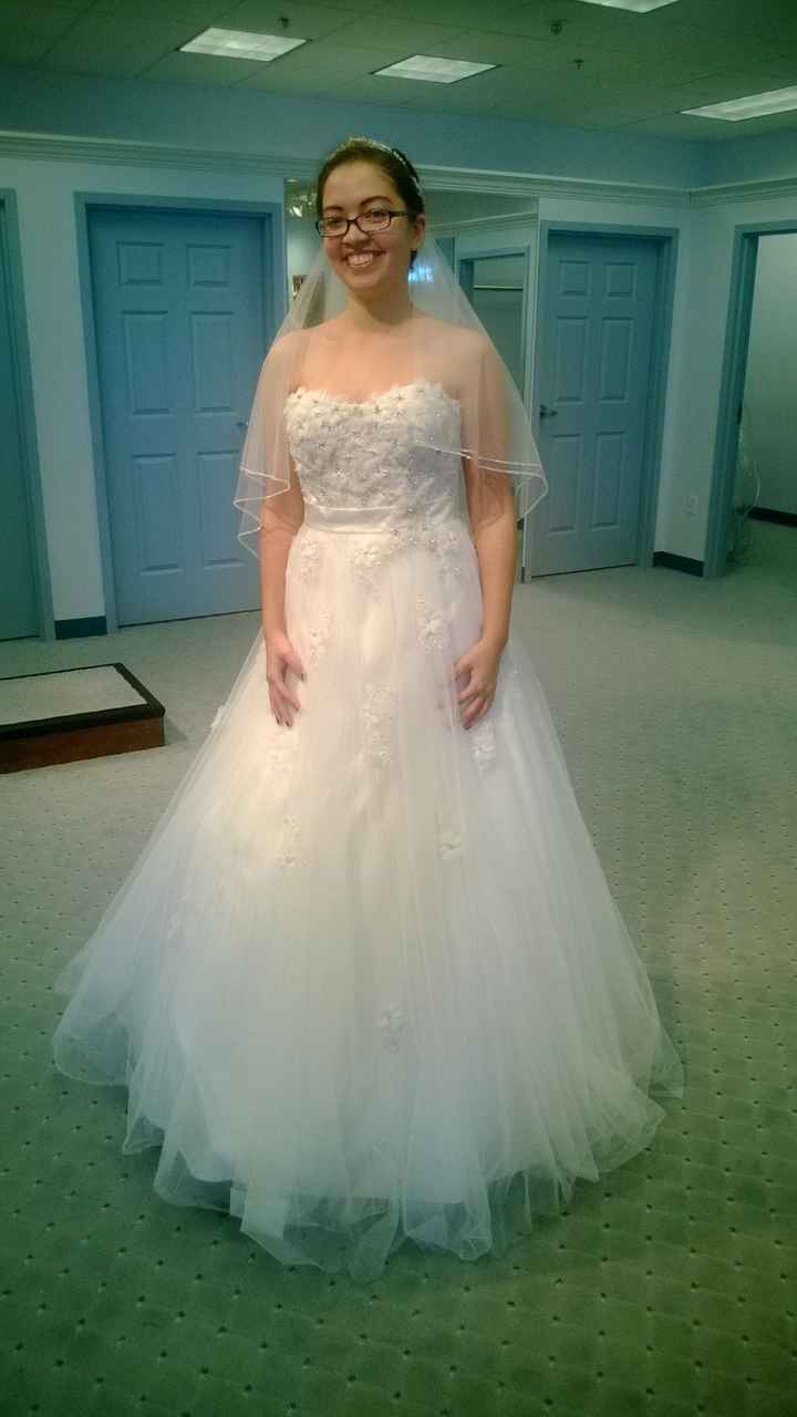 Dress Pictures as Promised