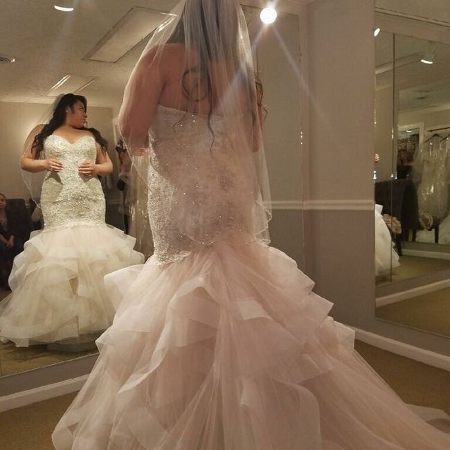 Have you said YES to the DRESS?