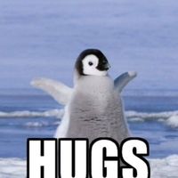 The icing on the cake ... someone hacked into our wedding account