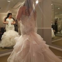 Have you said YES to the DRESS?