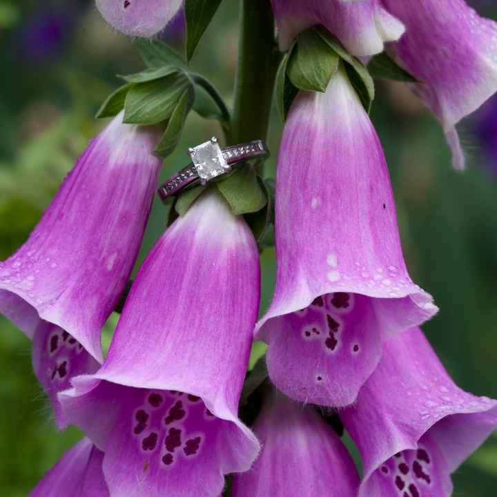 Let's see those rings ladies