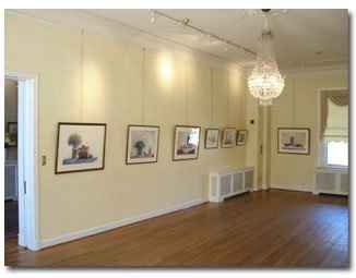 Linens and napkin colors