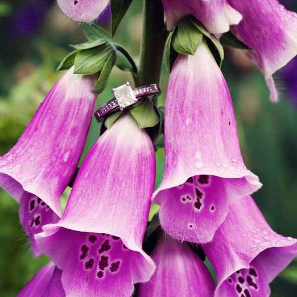 Sneak peek engagement pics :D I love them