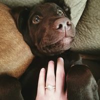 Proposal photos! Share yours!