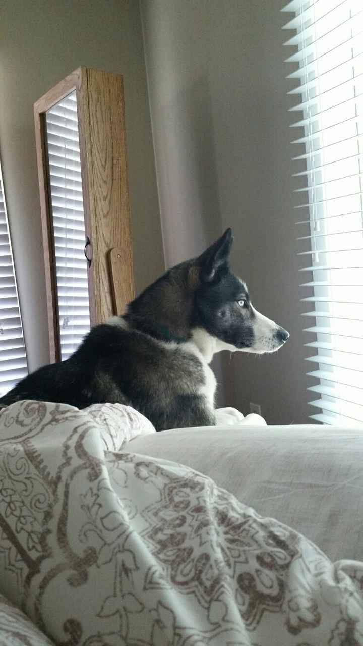 I'm getting married in 2 days and I'm taking a nap!