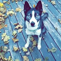 NWR: you and furbaby pic!