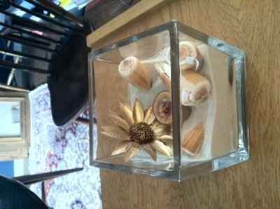 HONEST opinions welcomed