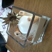 HONEST opinions welcomed