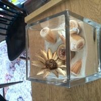 HONEST opinions welcomed