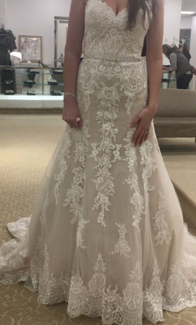 How did your nude underlay gown (ivory top layer detail) photograph? 2