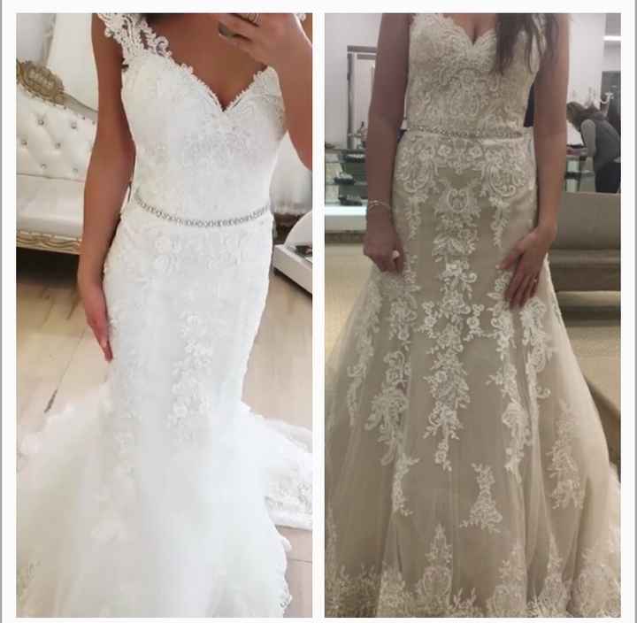 Which Color? Ivory or Nude, Help!