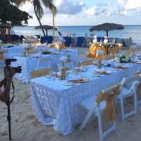 BAM from Jamaica (Pro)