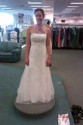 BUSTLE - What kind of bustle should I do with my David's Bridal Style WG3121?