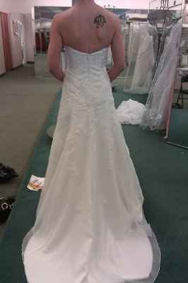 BUSTLE - What kind of bustle should I do with my David's Bridal Style WG3121?