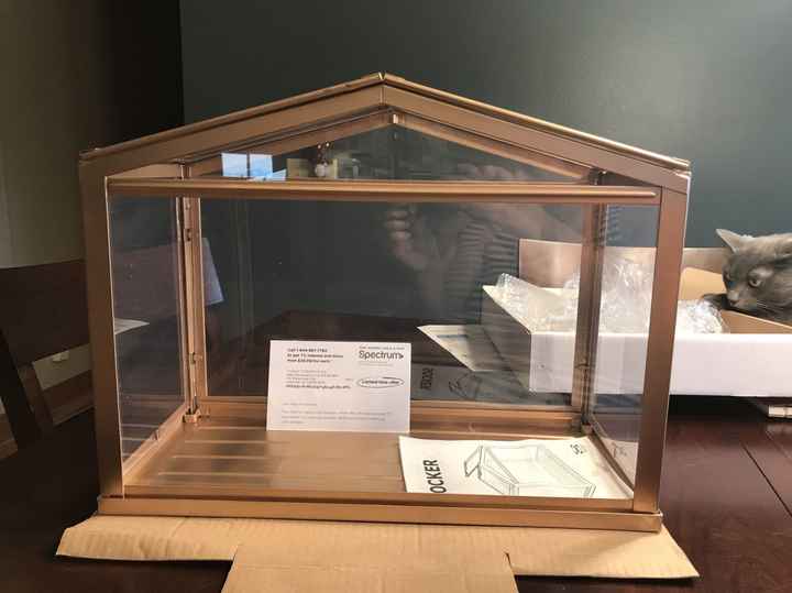 Show me your card box!