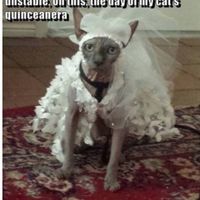 Costume Contest