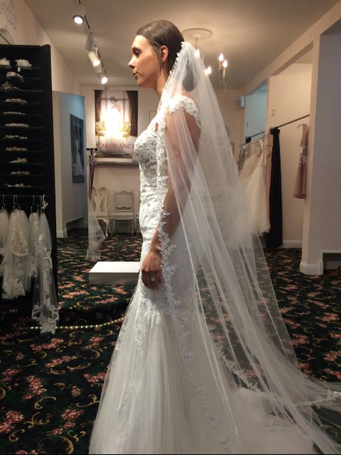 Picked up my dress! 2