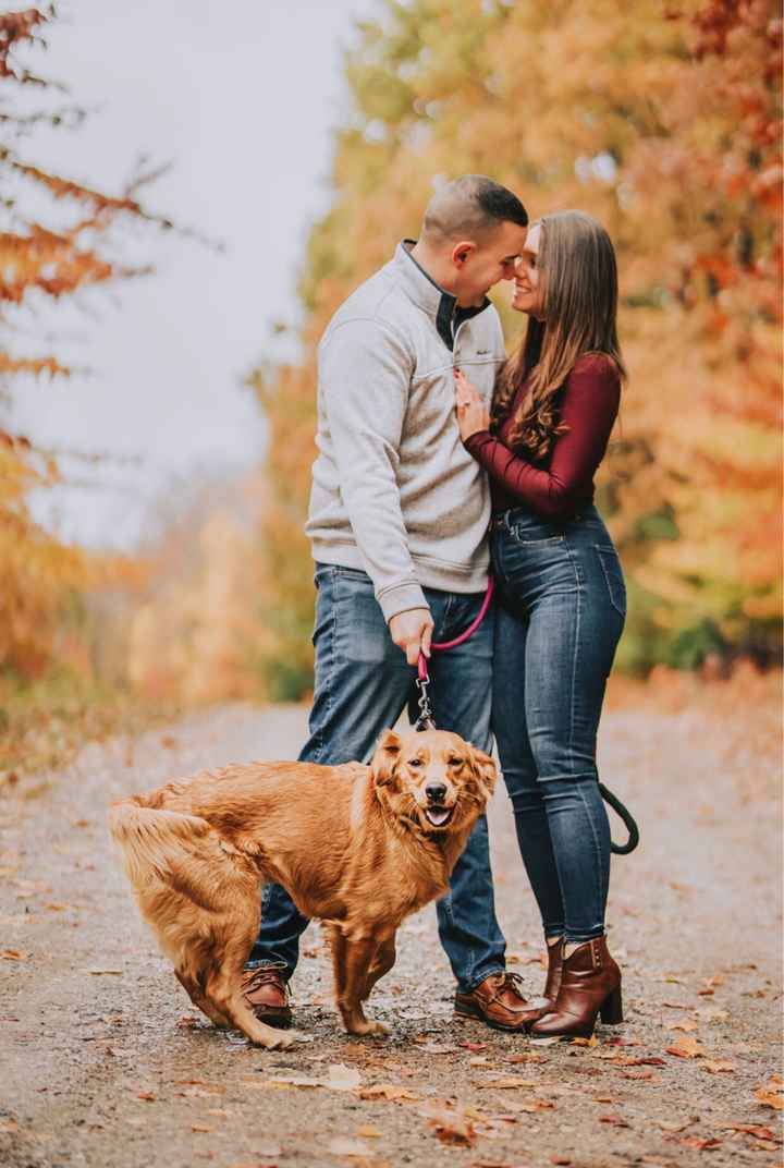 Engagement photos! *pic heavy* - 1