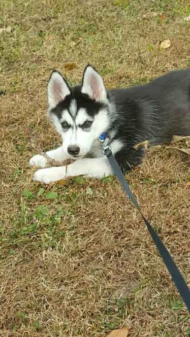 Hyped Up Products You Love...or Hate.