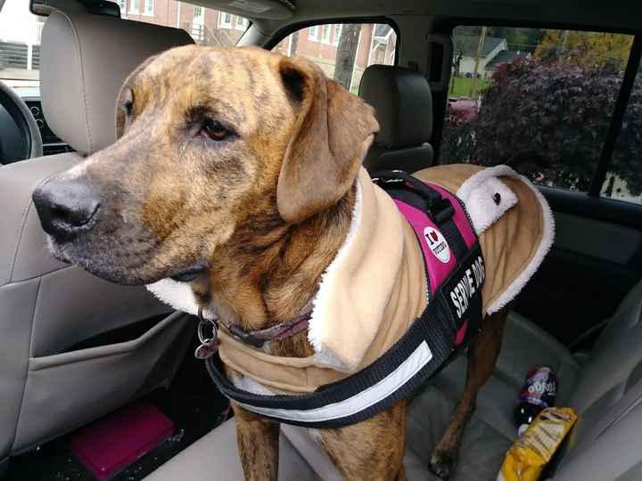 Family advice needed - 1