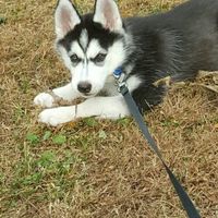 Hyped Up Products You Love...or Hate.