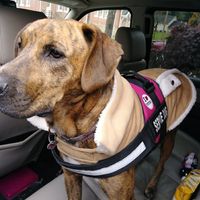 Family advice needed - 1