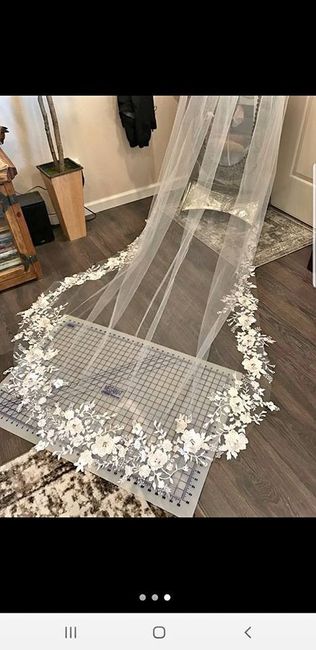 Veil to go with dress... 1