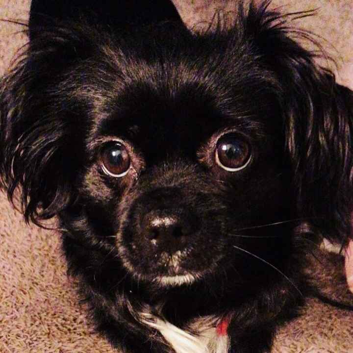 Ellie
