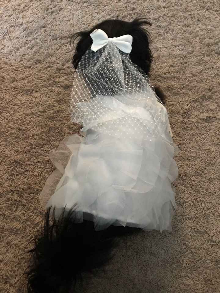 Veil and Dress
