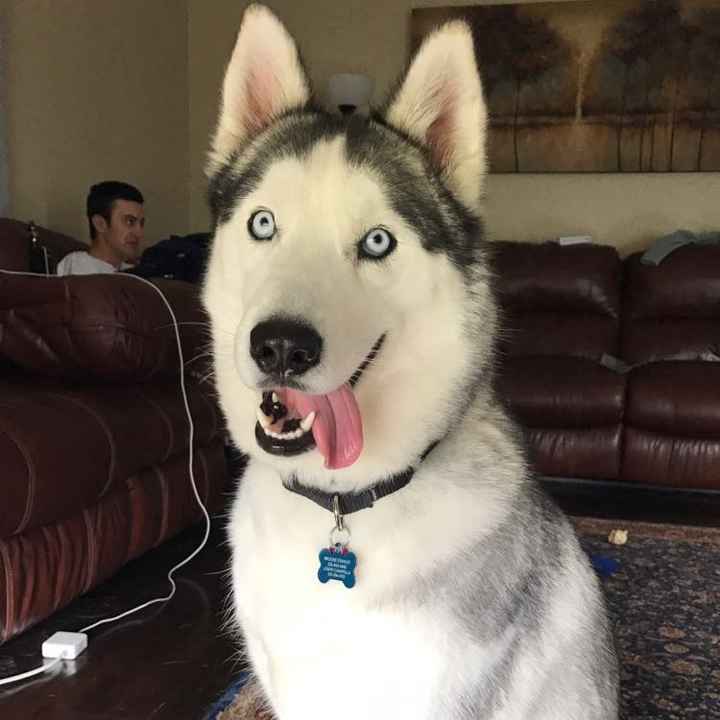 NWR: Show me your pups!