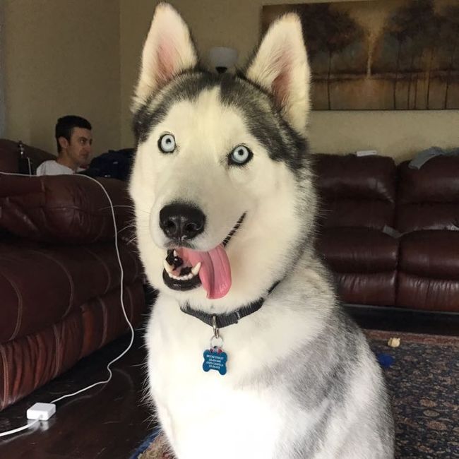 NWR: Show me your pups!