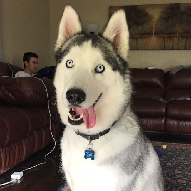 Show me your fur babies!