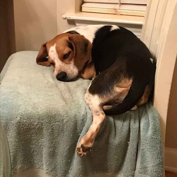 Rough day.