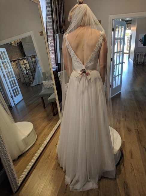 Dress 1 Back