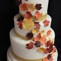 How much was your cake?!? Do u have pictures?