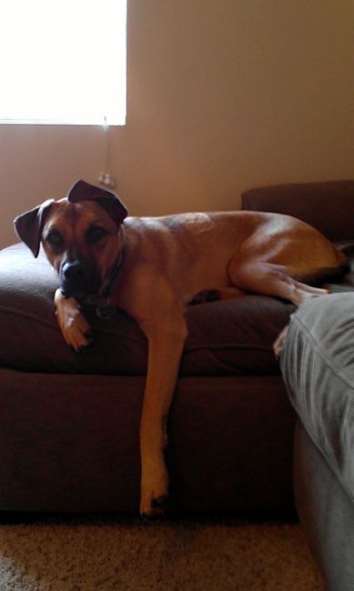 NWR: Fur Baby! :)