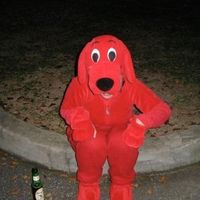 NWR: Hallowee Costume