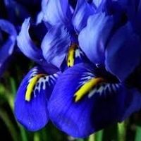 New and confused on colors...