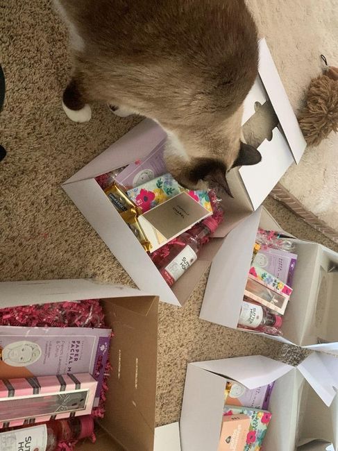 Bridesmaid/groomsmen proposals ideas? 12