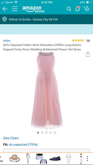 Cute, inexpensive flower girl dress? - 1