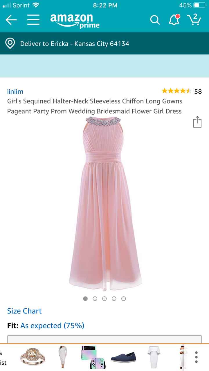 Cute, inexpensive flower girl dress? - 1