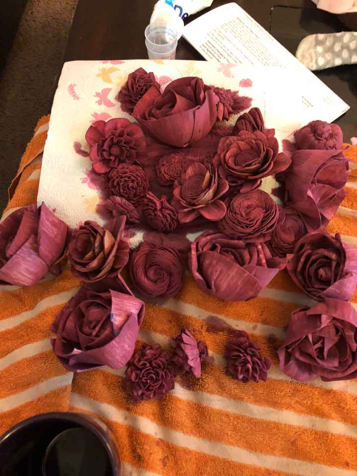 Sola Flowers - 2