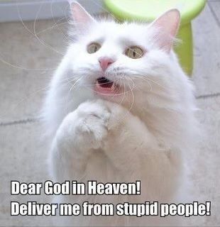 It's funny photo time!