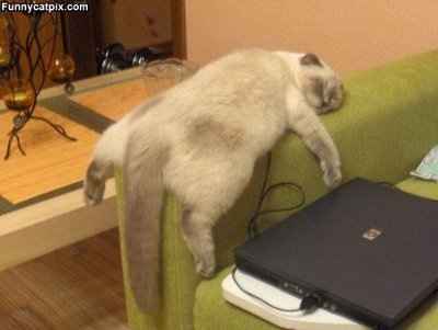 So in light of WW Support telling us to start fun and silly threads..