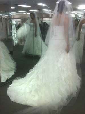 Here's my dress! *Pics*