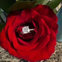 2023 Brides - Show us your ring! - 1