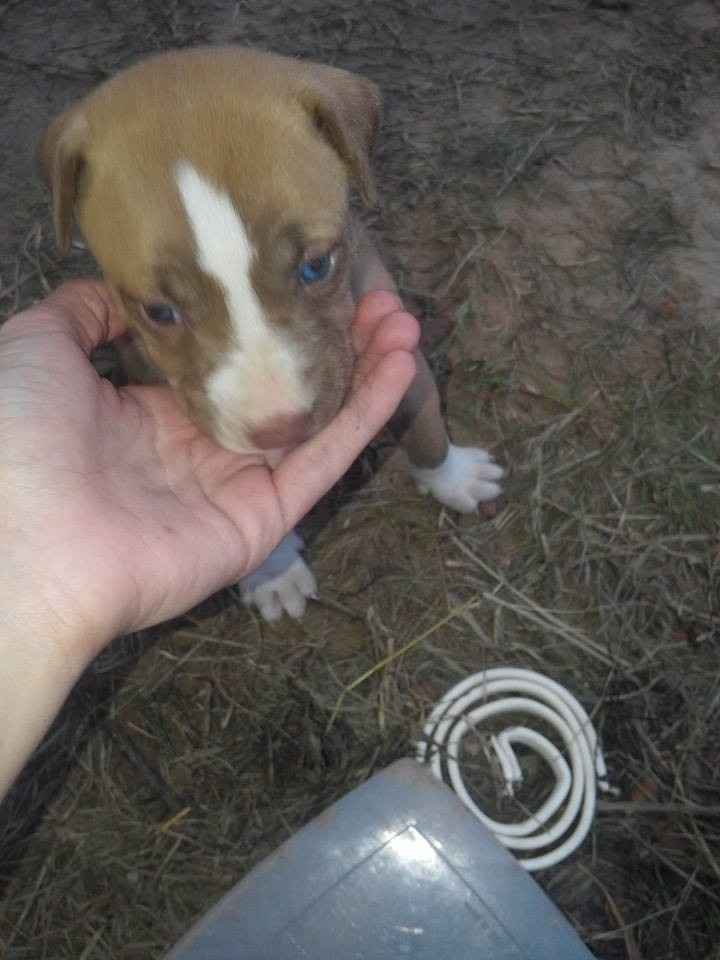 NWR: Help with name of our new family member!