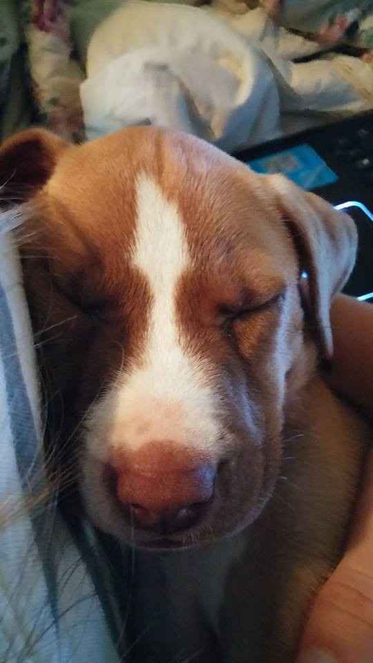 NWR: Help with name of our new family member!