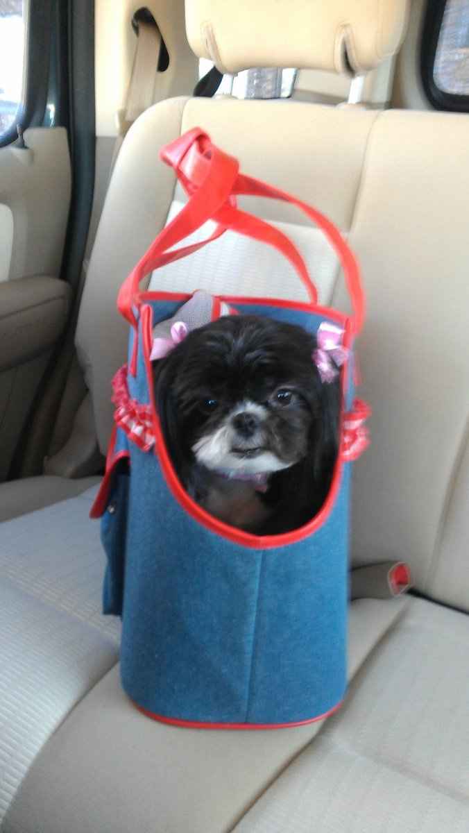 We've seen your rings, your dresses, your jewels.... show me your