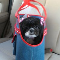 We've seen your rings, your dresses, your jewels.... show me your